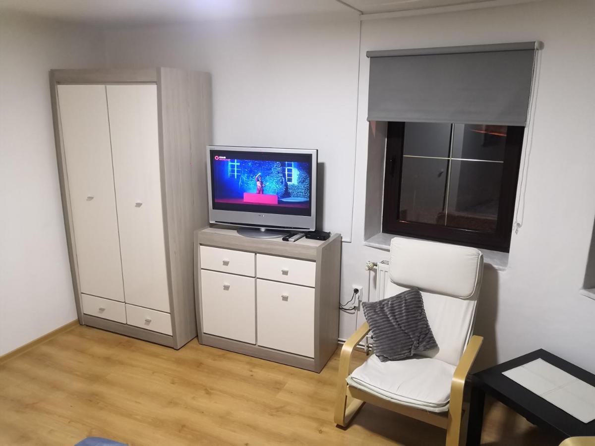 Penzion Ubytovani U Parku S Parkovistem Česká Lípa Bagian luar foto