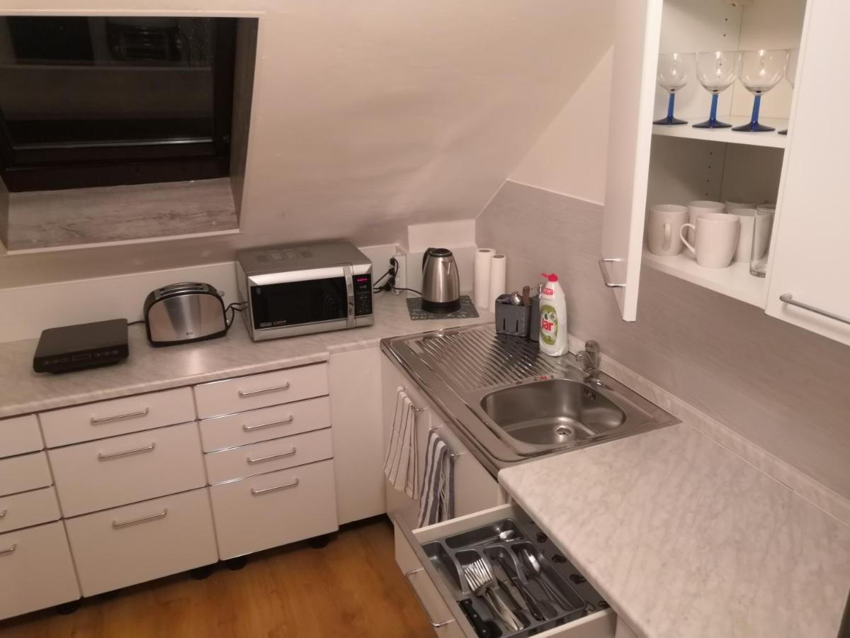 Penzion Ubytovani U Parku S Parkovistem Česká Lípa Bagian luar foto